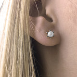 M&M Ohrstecker Ocean Collection | Modell 382 | ME3382-100
